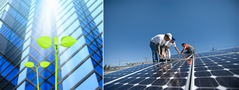 One photo of Skyscraper with Growing plant and another photo of men installing solar panels